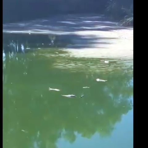 Οι λίμνες στο πάρκο «Αντώνης Τρίτσης»