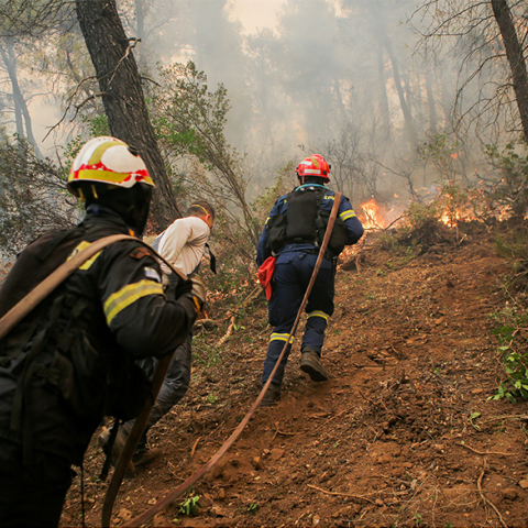 Μάχη με τις φλόγες στην Εύβοια