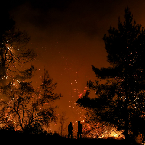 Φωτιά στην Εύβοια καίει πευκοδάσος Natura