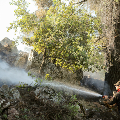 Κατάσβεση φωτιάς στην Εύβοια