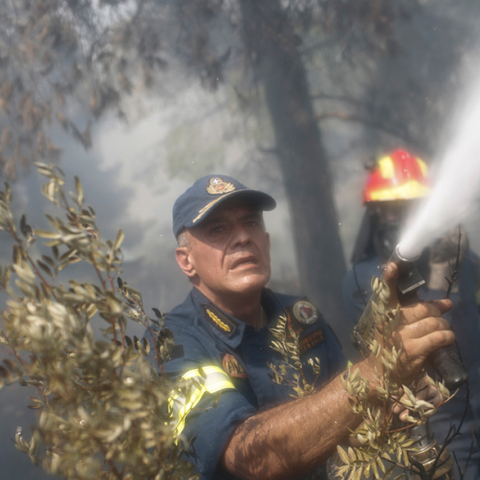Φωτιά στην Εύβοια, πεζοπόρα τμήματα