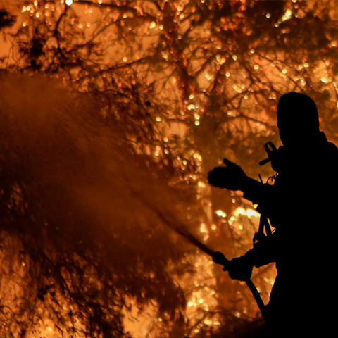 Φωτιά στην Εύβοια