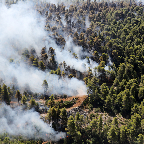 Φωτιά στην Εύβοια