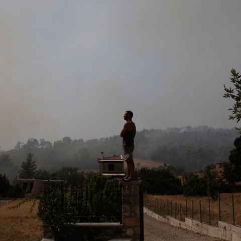 Φωτιά στην Εύβοια