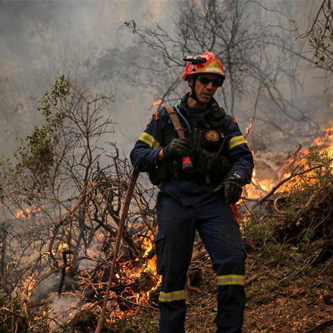 Πυροσβεστική Υπηρεσία