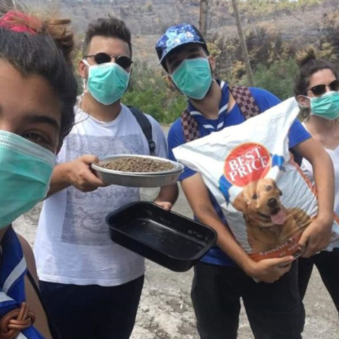 Σώμα Ελλήνων Προσκόπων