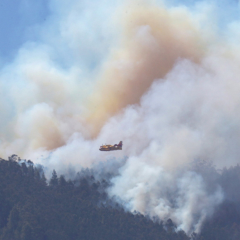 Φωτιά στα Γκραν Κανάρια