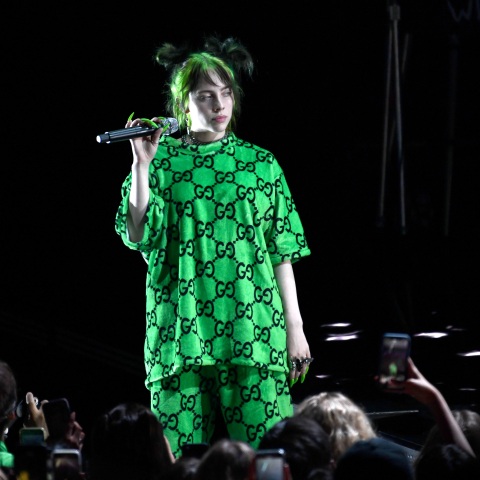 Billie Eilish Guns.jpg