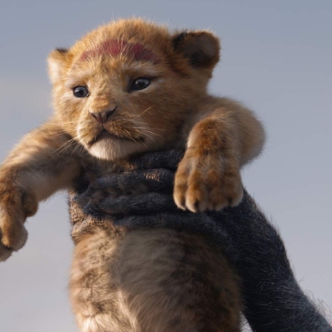 lion_king_1.jpg
