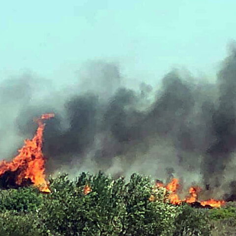 Ελαφόνησος - Φωτιά