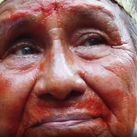 Αυτόχθονας του Αμαζονίου