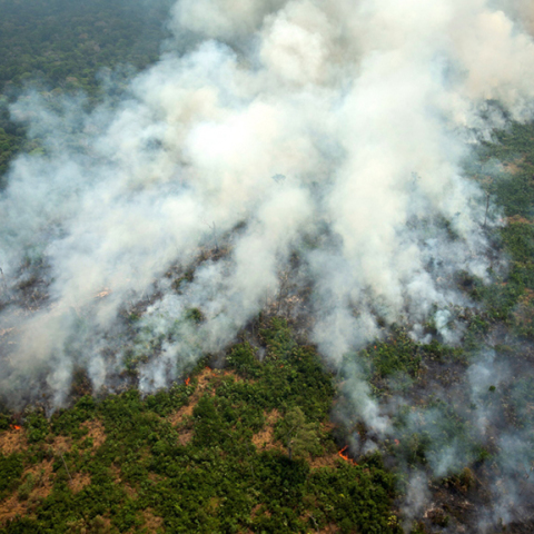 Φωτιά στον Αμαζόνιο