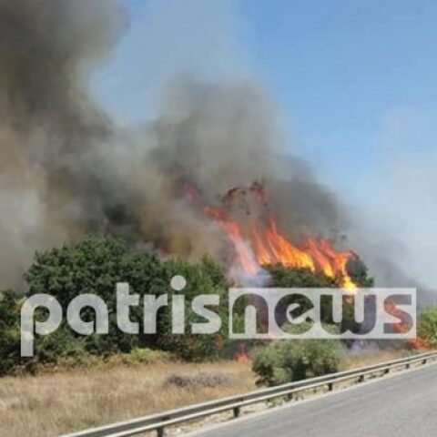 Φωτιά στη Βάρδα Ηλείας 