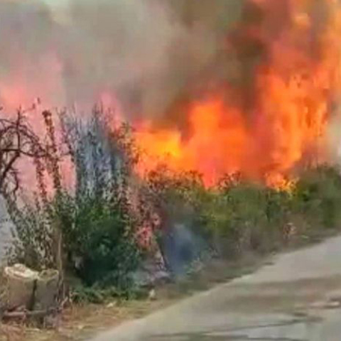 Φωτιά στη Νέα Κίο Αργολίδας  