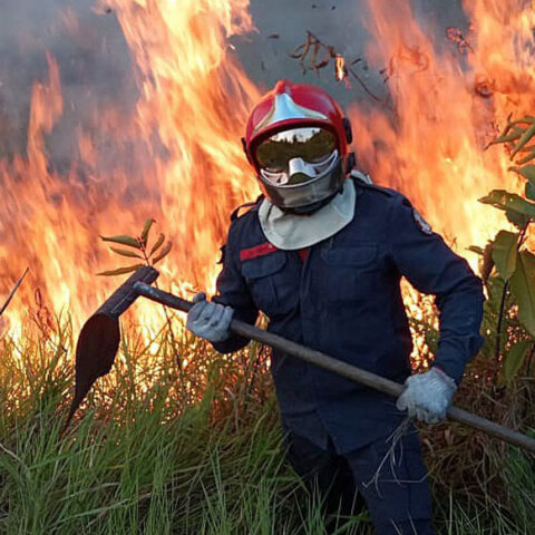 Αμαζόνιος - φωτιές 