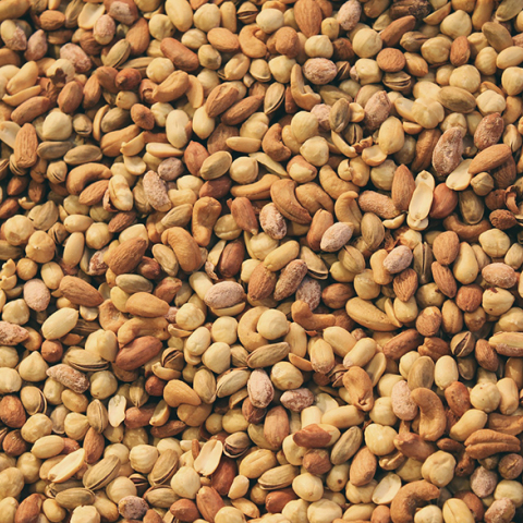 Ξηροί καρποί