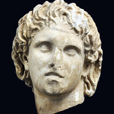 Μέγας Αλέξανδρος, Μουσείο Πέλλας