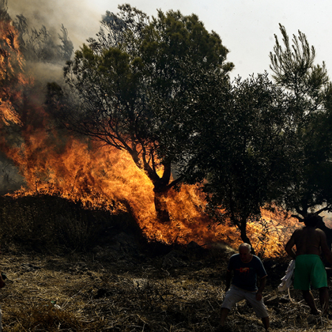 Φωτιά στη Νέα Μάκρη