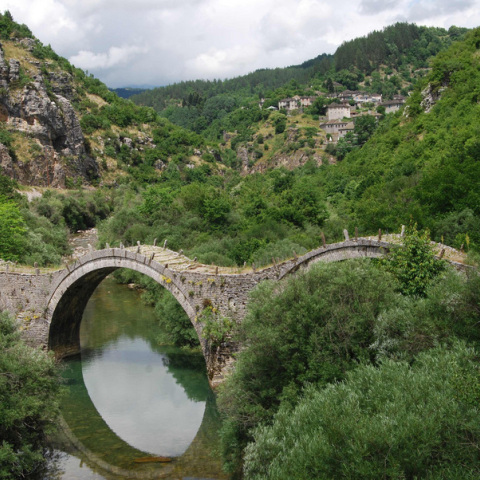 zagorochoria