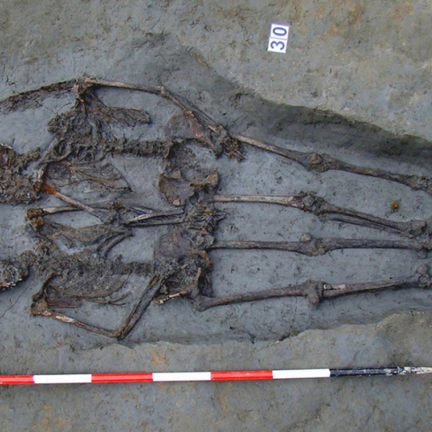 Εραστές της Μόντενα