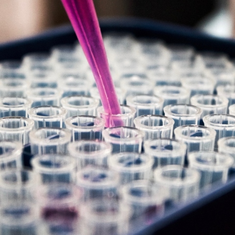 Έμβρυο, μηχανή παραγωγής εμβρύων