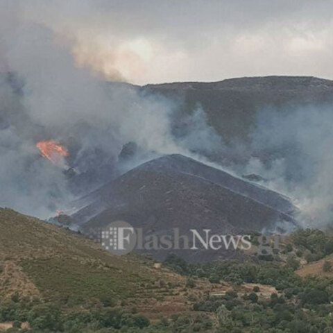Μεγάλη πυρκαγιά στην περιοχή Πλατανιά Χανίων