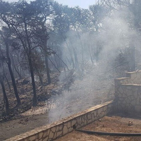 Πυρκαγιά στη Ζάκυνθο: Η φωτιά προκάλεσε υλικές ζημιές σε ξενοδοχείο στο Κερί