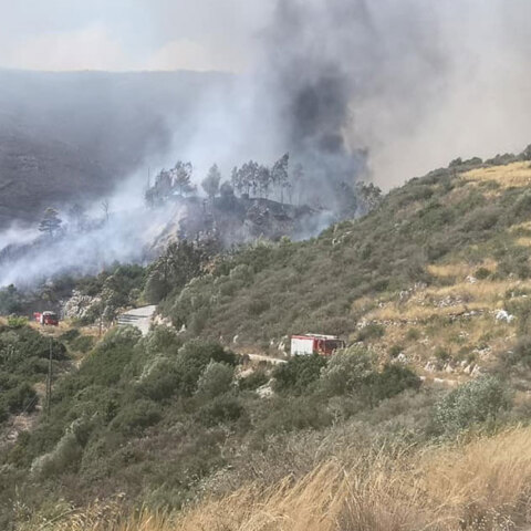 Πυρκαγιά στη Ζάκυνθο