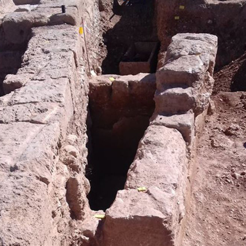 Αρχαία Τενέα