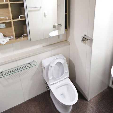toilet-pixabay.jpg