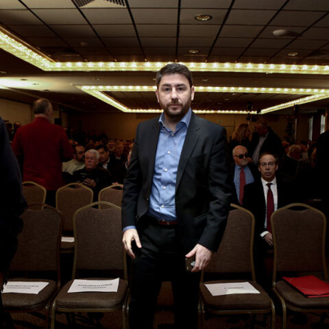 Νίκος Ανδρουλάκης