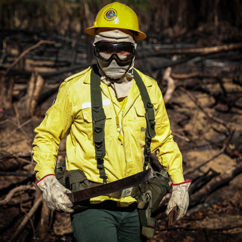 Φωτιές στον Αμαζόνιο