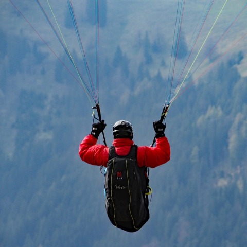 paraglider
