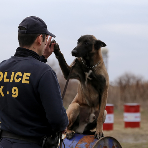 Σκύλος αστυνομίας