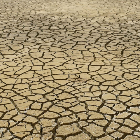 Ξηρασία