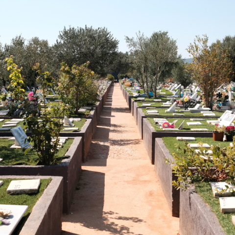 Κοιμητήριο μικρών ζώων 