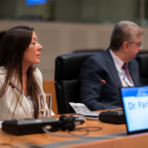 Δρα. Παρή Ράπτη