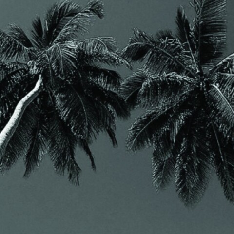 Ιωάννα Ντούμπρου, «Βορινή παραλία», Εκδόσεις Πατάκη