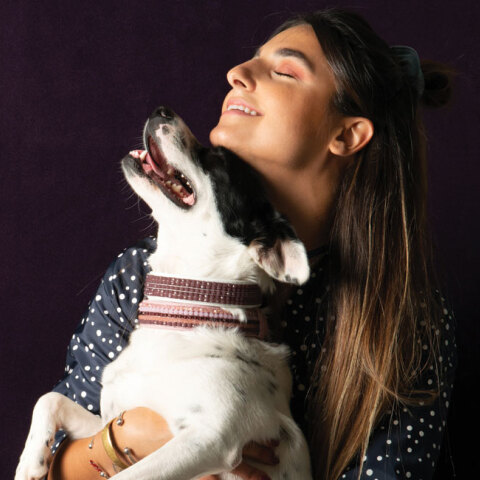 Zikos Pet Accessories / Βασιλική Ρούσσου