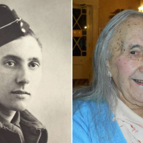 Βετεράνος Β' Παγκοσμίου Πολέμου