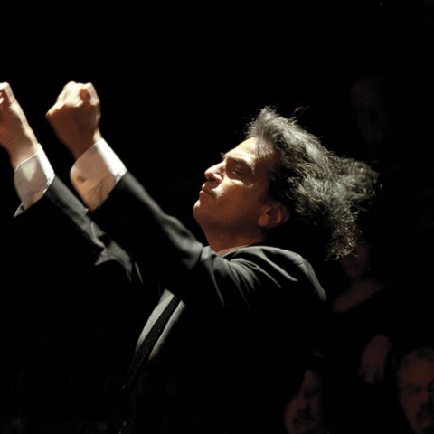 Βασίλης Τσαμπρόπουλος © Υiannis Priftis