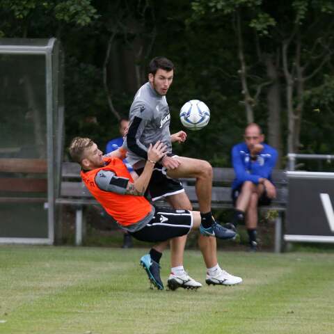 Dimitris Meliopoulos.jpg