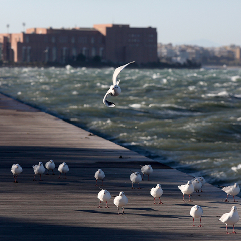 Θεσσαλονίκη, Θερμαϊκός