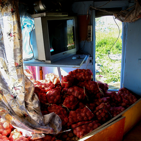 Καταυλισμός Ρομά στα Διαβατά