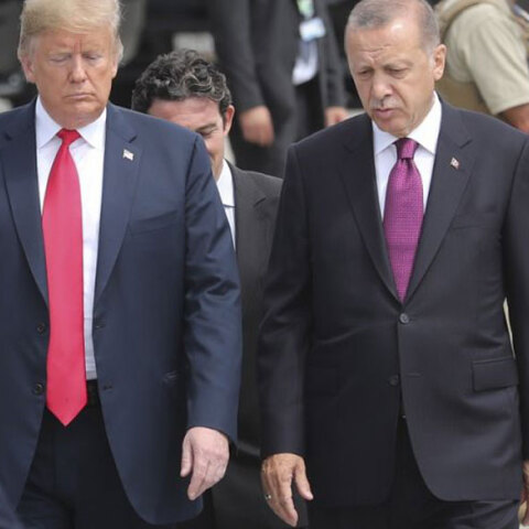 trumperdogan.jpg