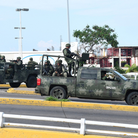 Δυνάμεις ασφαλείας του Μεξικού