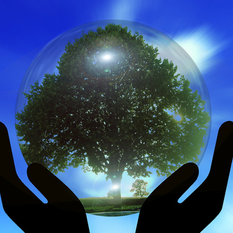 «Πράσινος» φόρος