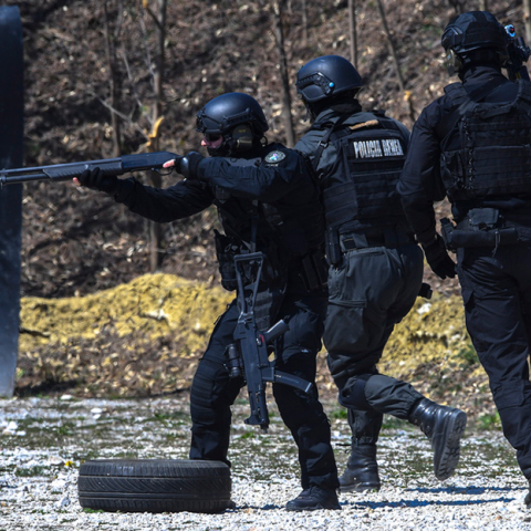 Αστυνομικές δυνάμεις Αλβανίας