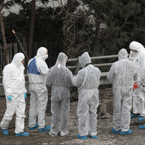 Αντιτρομοκρατική, έρευνες