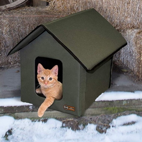 cat_house_1_.jpg